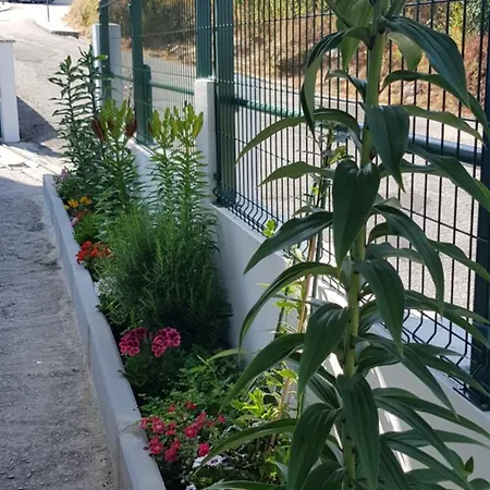 Гостевой дом Ferrinho Гуарда