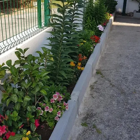 Πανσιόν Ferrinho Γκουάρντα