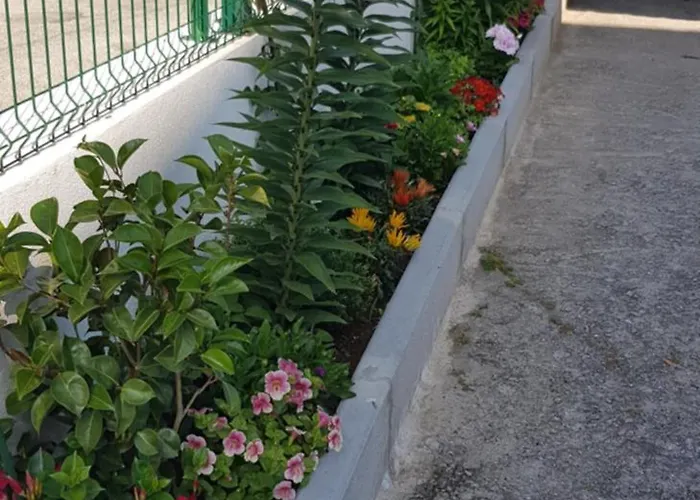 Guest house Ferrinho Guarda