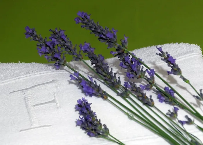 Ferrinho Guest house